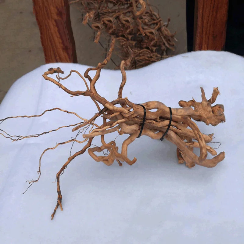 Driftwood on a white surface with a blurred background