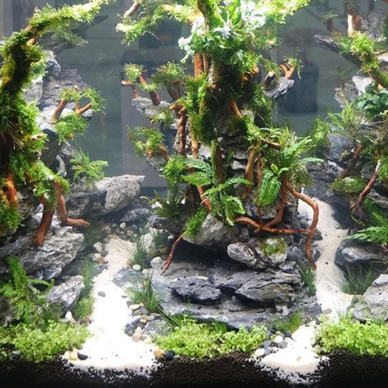 Aquarium with rocks, plants, and a decorative structure