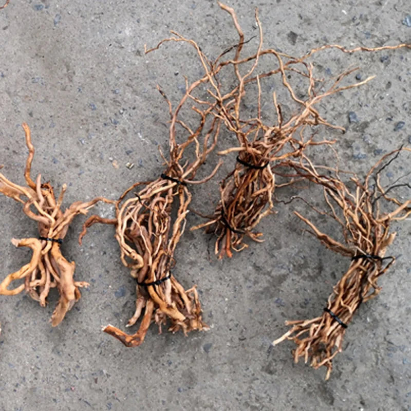Bundles of dried roots on a concrete surface