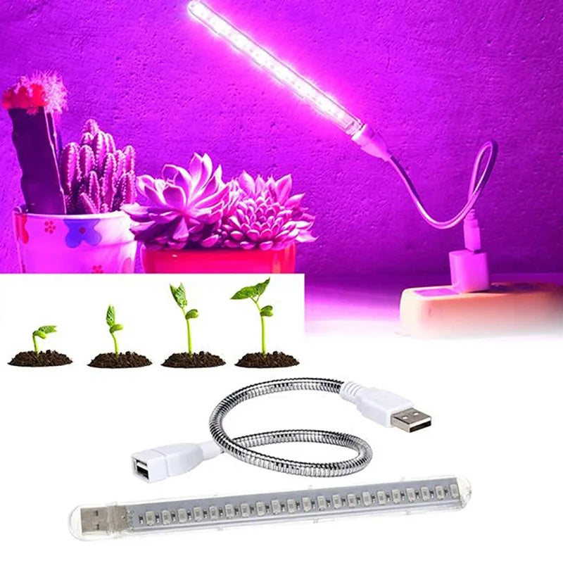 USB LED grow light with plants and succulents on a purple background
