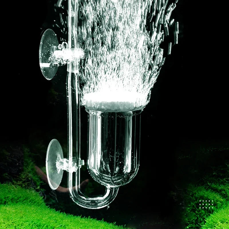 Clear outdoor shower head on grass with dark background