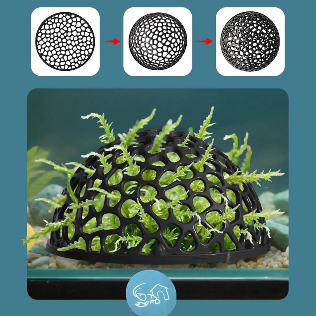 Shrimp Cave | Aquarium Hiding Place for Shrimp & Betta Fish