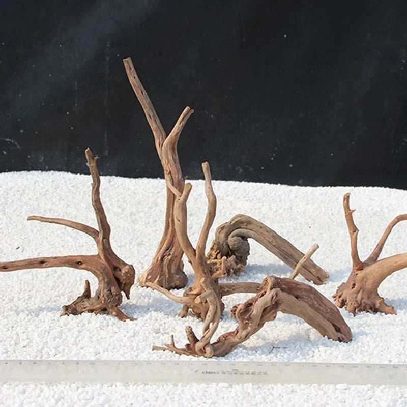 Driftwood pieces on a white substrate with a black background