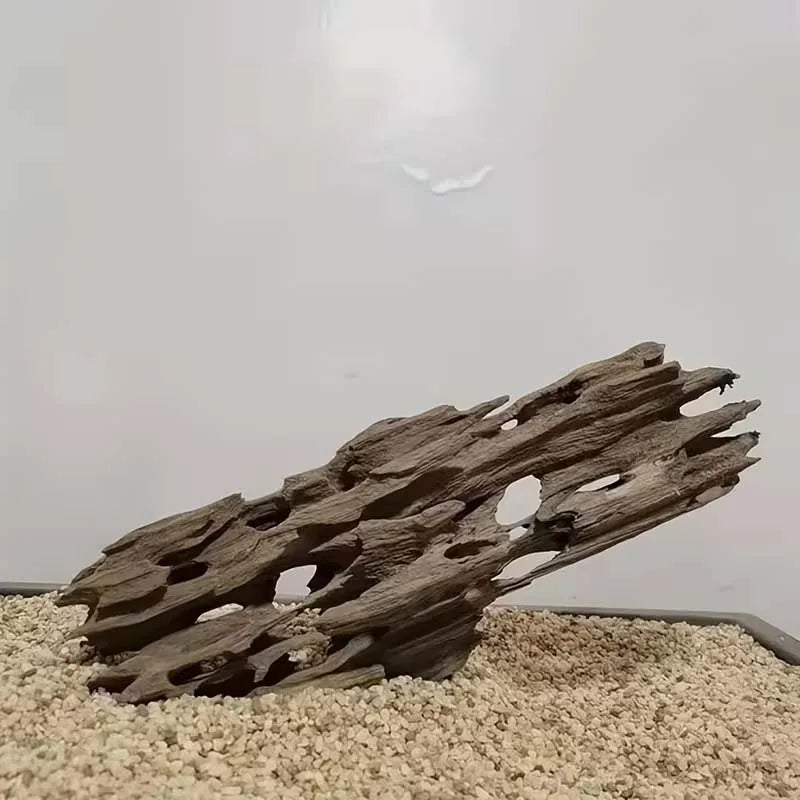 Wooden driftwood piece on a sandy surface with a neutral background