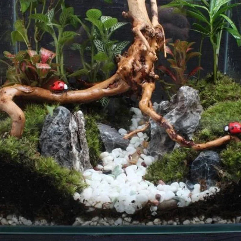 Aquarium with rocks, pebbles, and a piece of driftwood