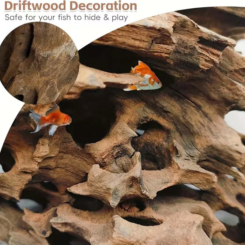 Driftwood decoration with fish hiding and playing inside for aquarium use