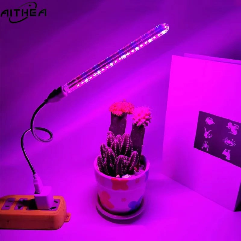 Potted cactus under a purple LED grow light with Aithea branding.