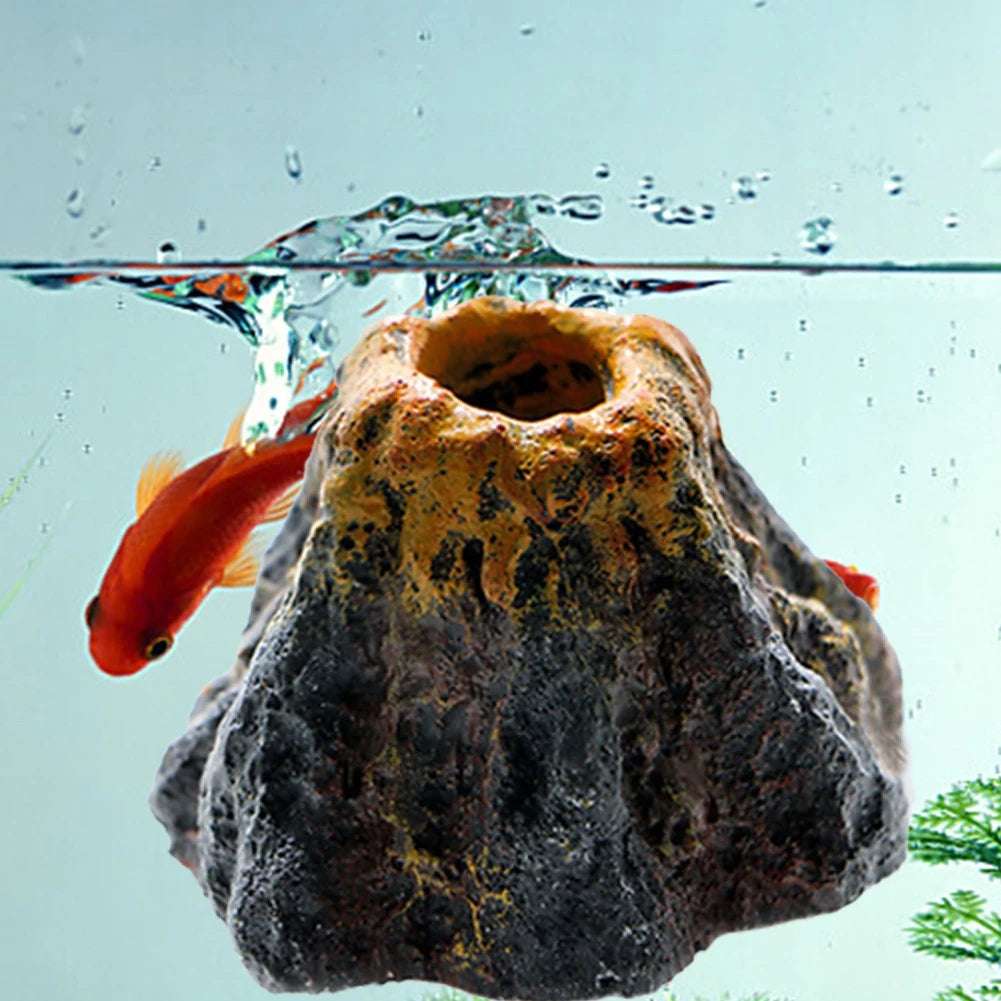 Goldfish swimming near a rock in an aquarium with water droplets on the glass.