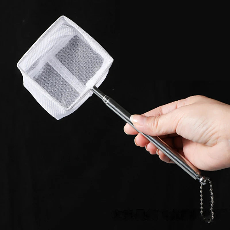 Hand holding a butterfly net against a black background