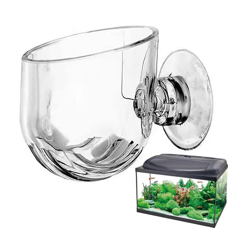Clear glass fish tank with suction cup attachment on a white background