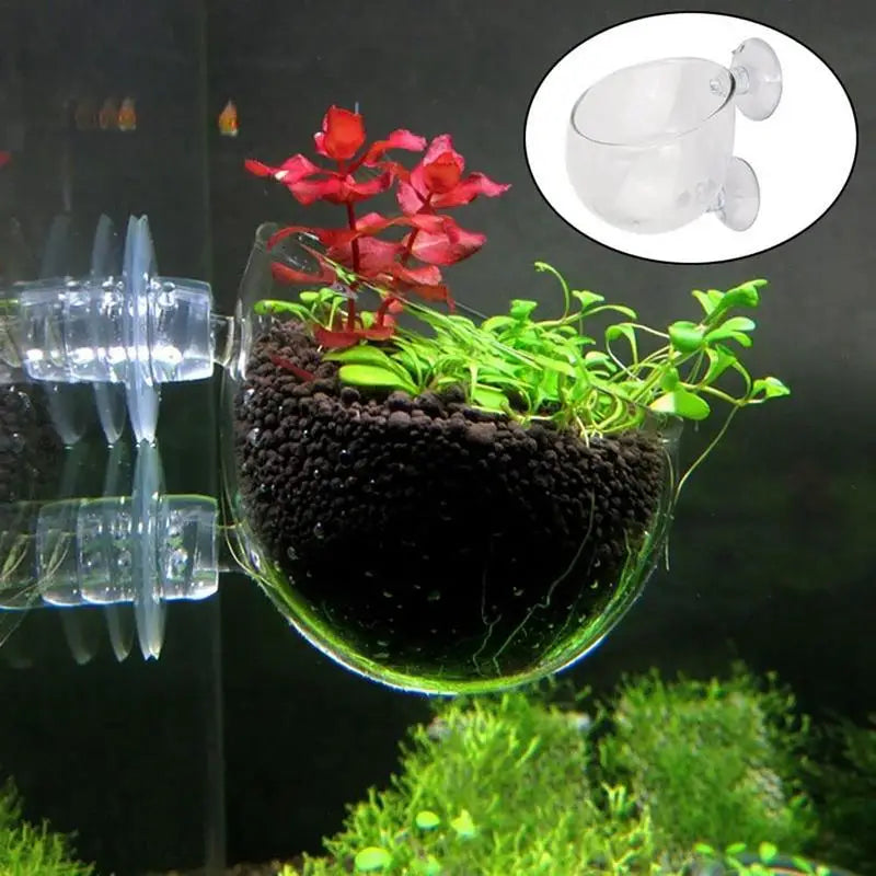 Clear acrylic sphere with plants and a small inset showing a suction cup attachment on a dark background.