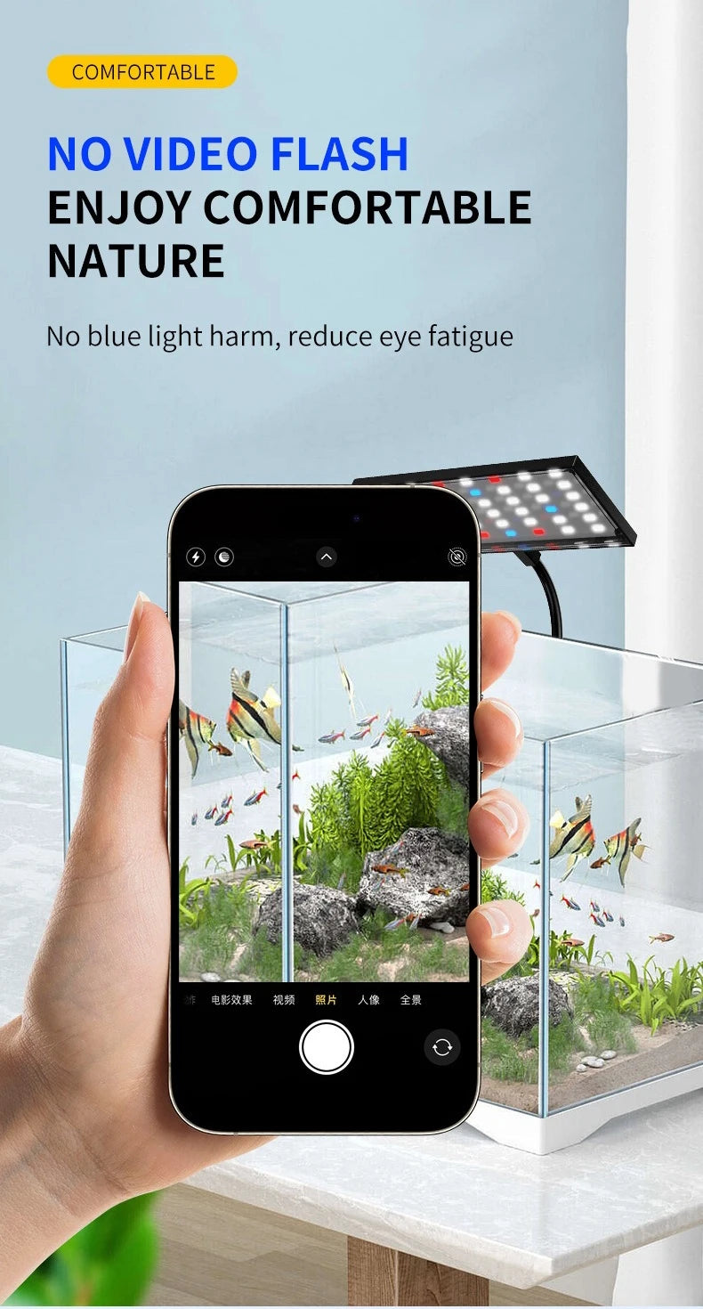 A hand holds a smartphone showing a fish tank camera view, with a small LED light panel above a clear fish tank on a tabletop. Text at the top reads 'COMFORTABLE' and 'NO VIDEO FLASH ENJOY COMFORTABLE NATURE' with claims about no blue light harm.