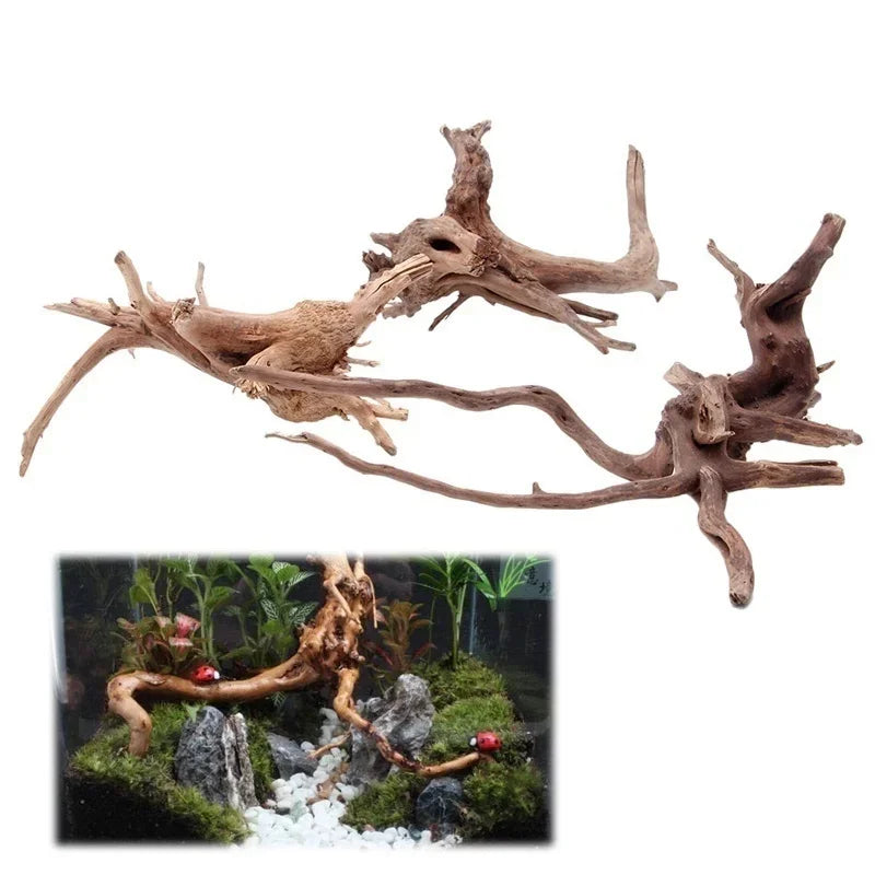 Driftwood pieces for aquarium decoration on a white background