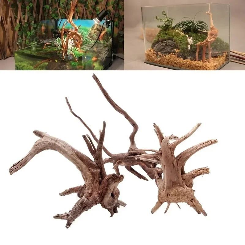 Driftwood setup for aquarium with decorative elements on a white background