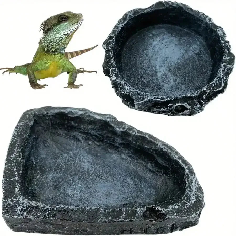 Two stone-like bowls and a green lizard on a white background