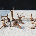 Driftwood pieces on a sandy surface with a dark background