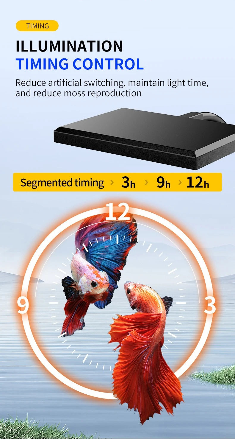A promotional graphic for a black rectangular fish tank lighting device with text about illumination and timing control, plus a circular clock graphic and two betta fish over a water scene.