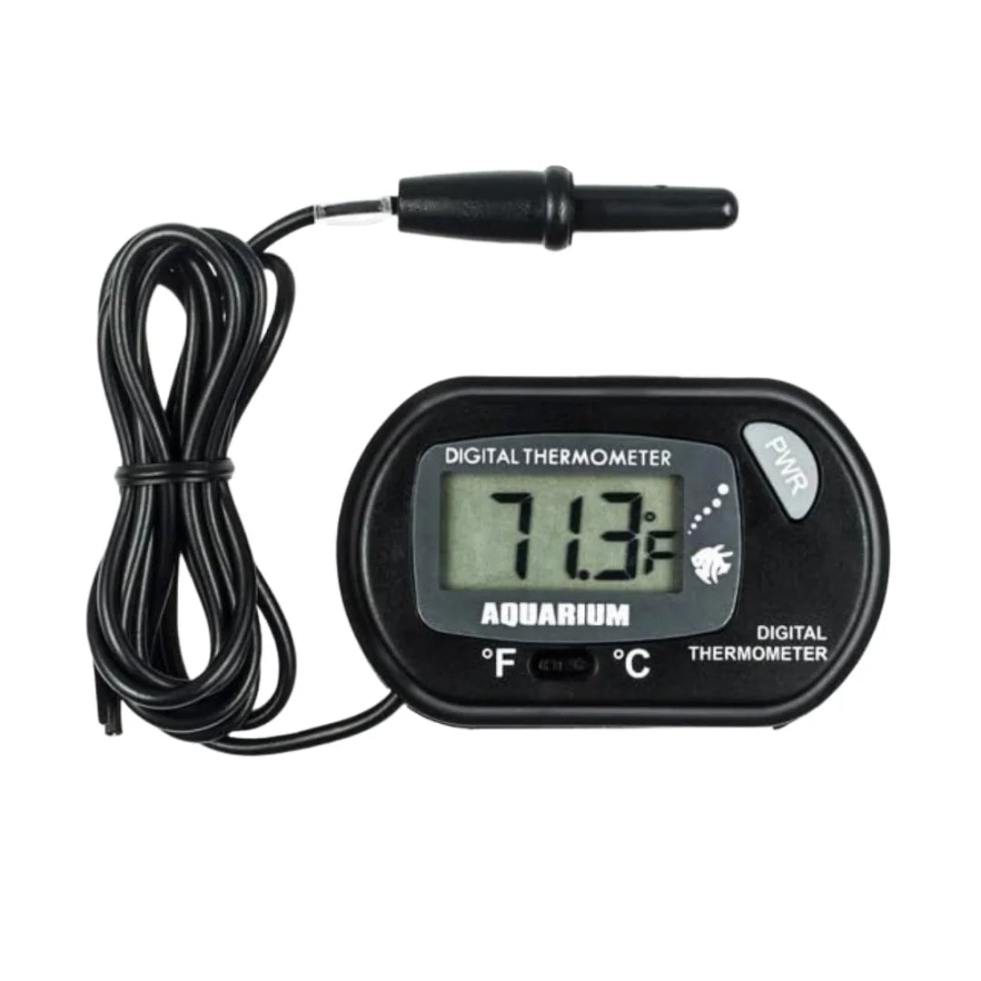 Digital thermometer with a cable on a white background