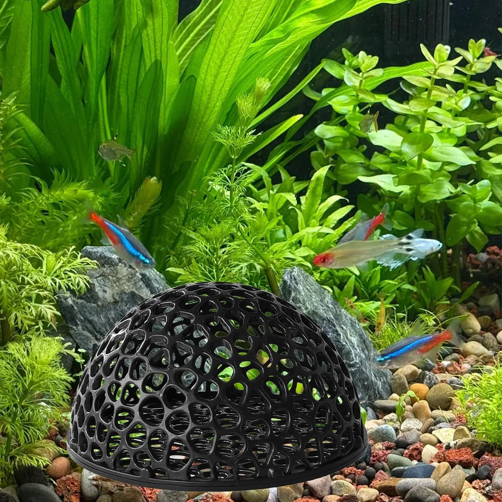 Shrimp Cave | Aquarium Hiding Place for Shrimp & Betta Fish