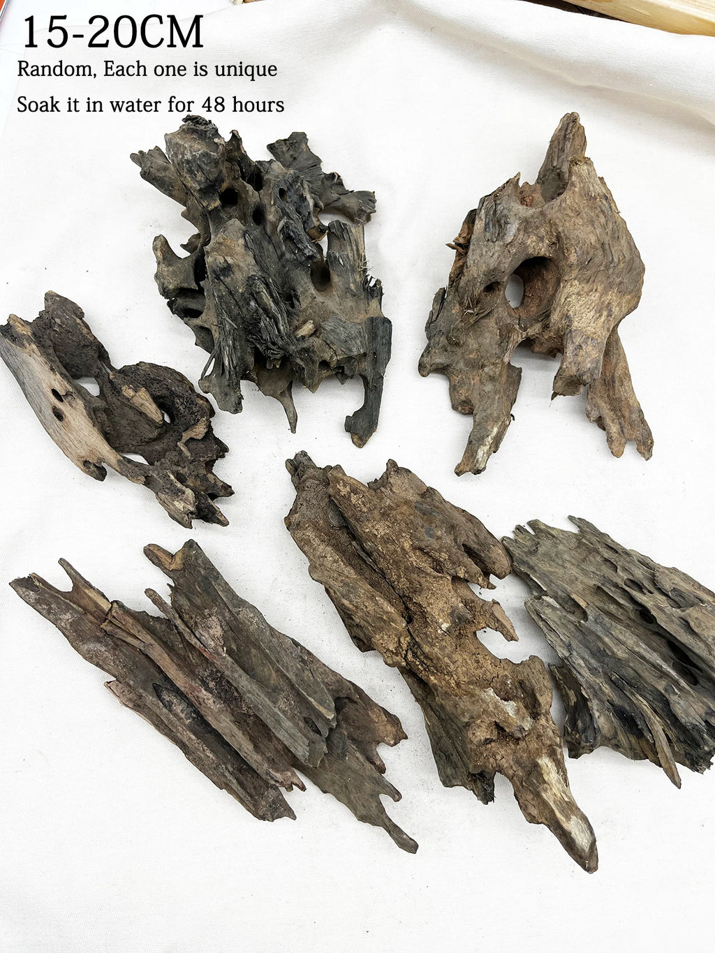 Set of dried plant or animal remains on a white background with text indicating size and soaking instructions.