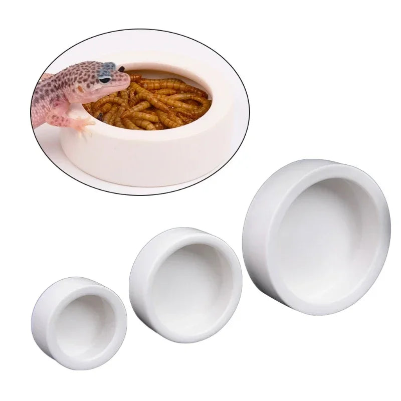 Set of white ceramic bowls with a close-up inset showing a lizard eating from one of the bowls.