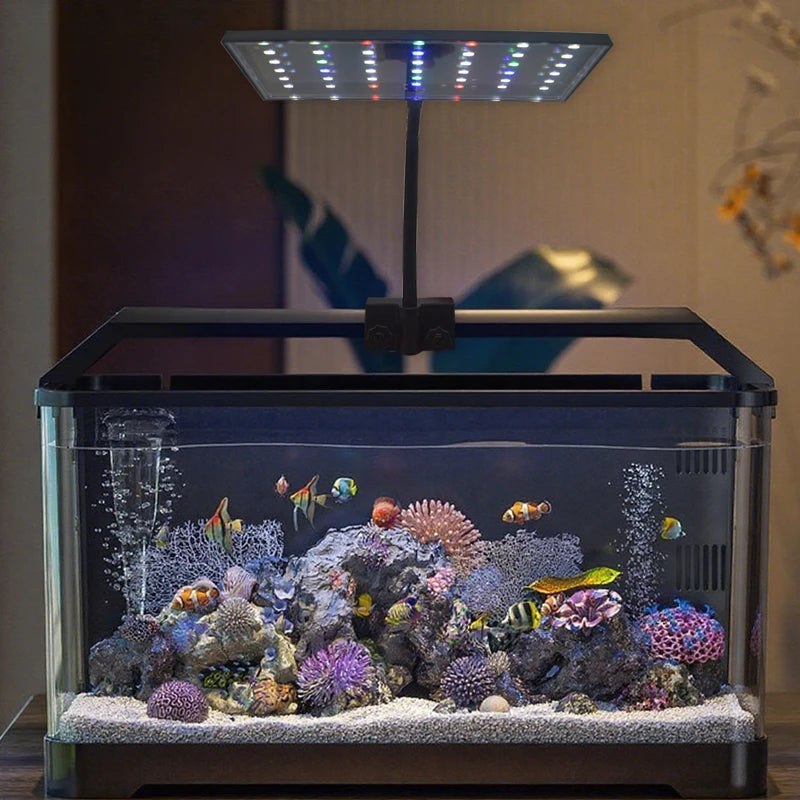 Small aquarium with fish and coral, illuminated by a LED light fixture.