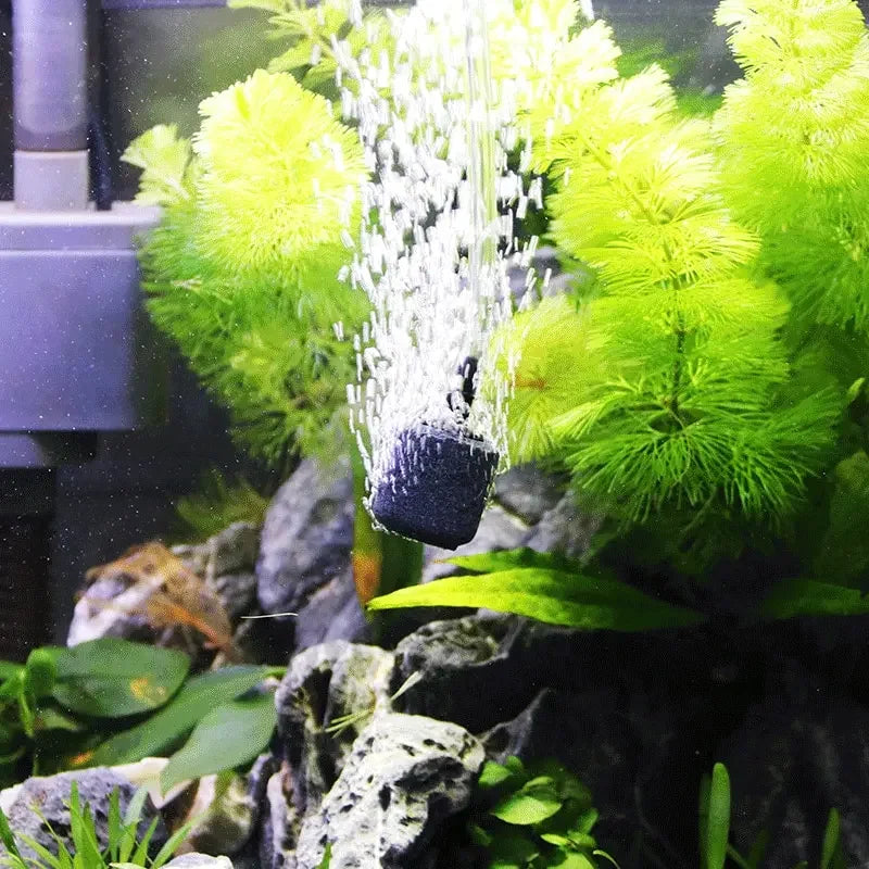 Aquarium with green plants and a water filter