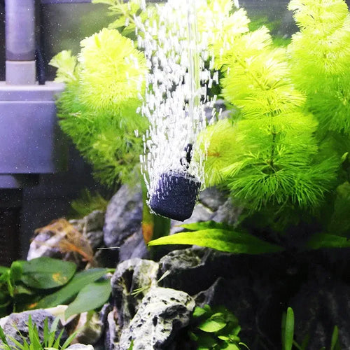 Aquarium with green plants and a water filter