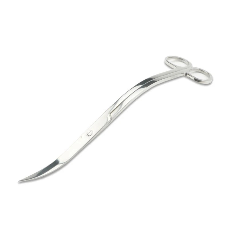 Metal shears on a white background