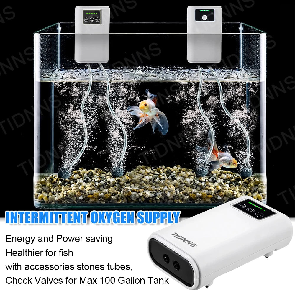 Aquarium with fish and intermittent oxygen supply device on a black background