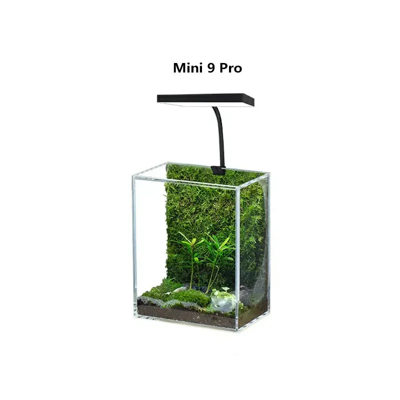 Small glass terrarium with plants and a light fixture labeled 'Mini 9 Pro' on a white background.