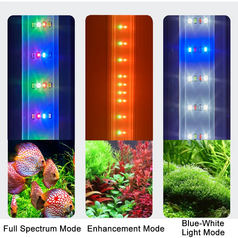 TUNFAN USB Clip-On Aquarium Light | Dimmable LED with Timer for Fish Tanks & Plant Growth