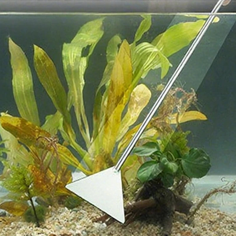 Aquarium with plants and a metal tool inside