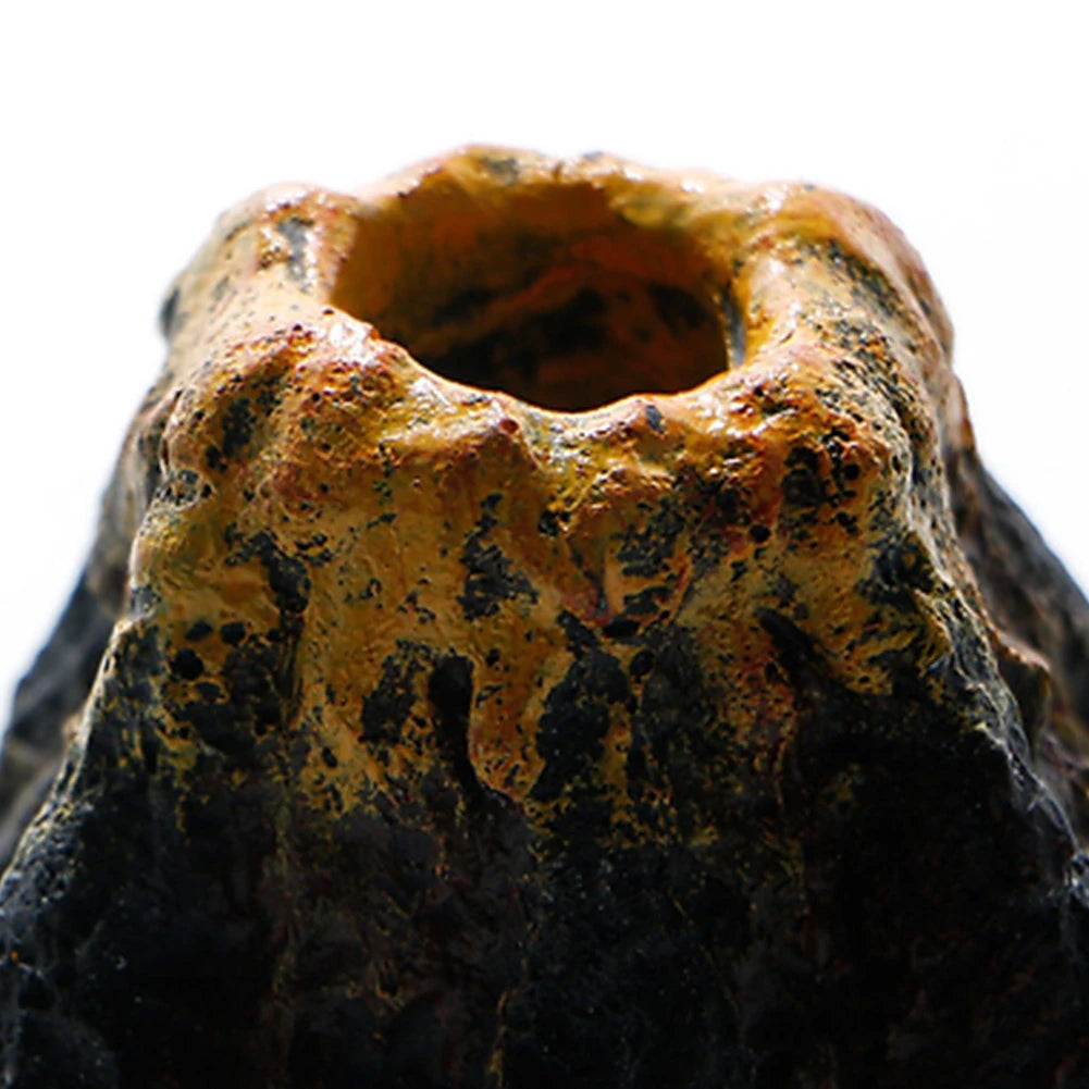 Close-up of a textured stone object with a central circular opening.