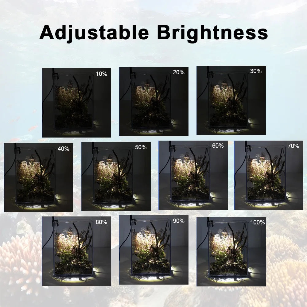 Demonstration of adjustable brightness on a screen with percentages from 10% to 100%.