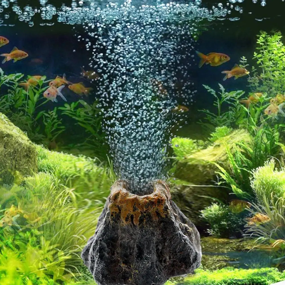 Aquarium with fish, plants, and a stone with air bubbles.