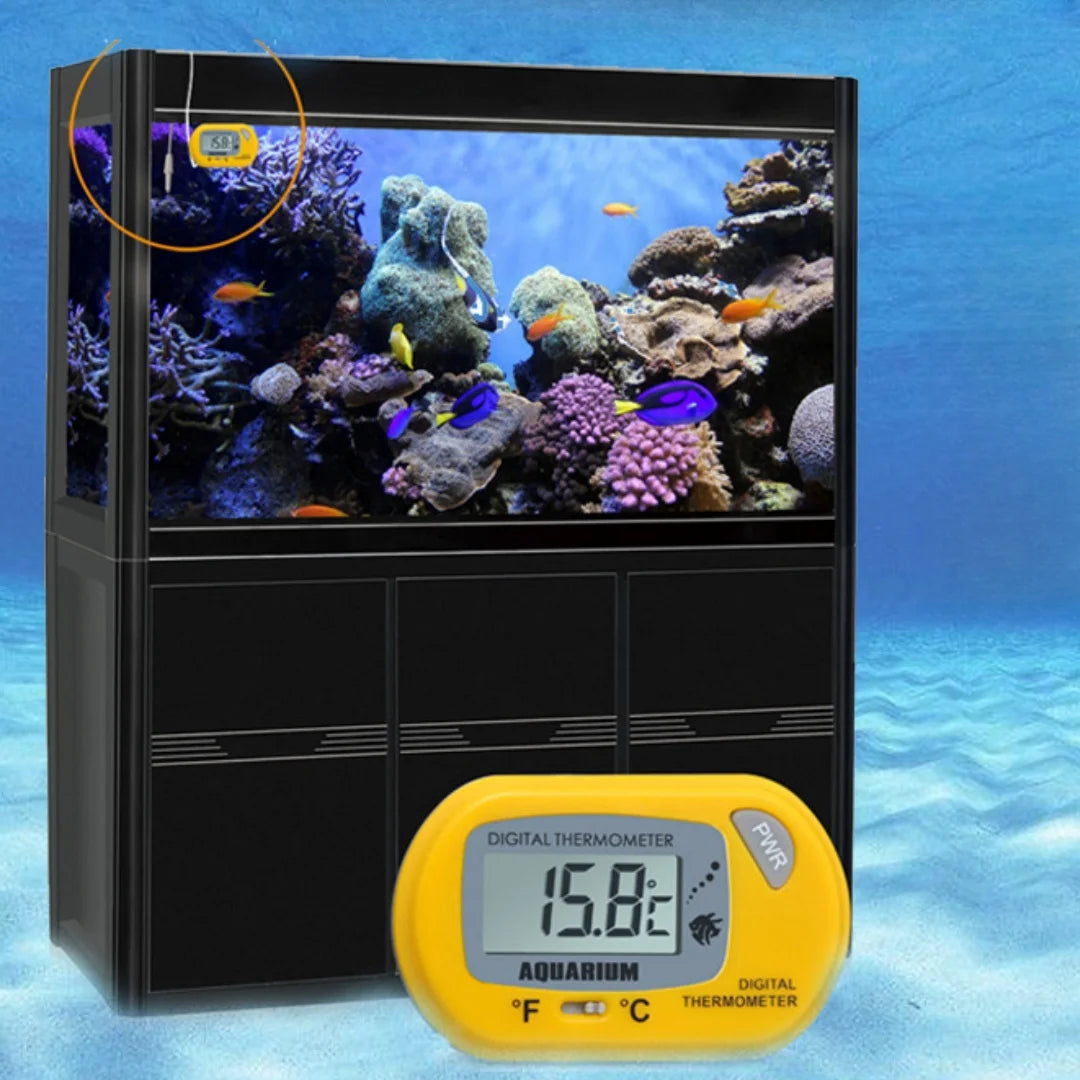 Aquarium with coral and fish, featuring a digital thermometer displaying temperature.