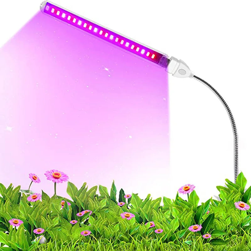 Grow light emitting purple light over plants with flowers on a white background