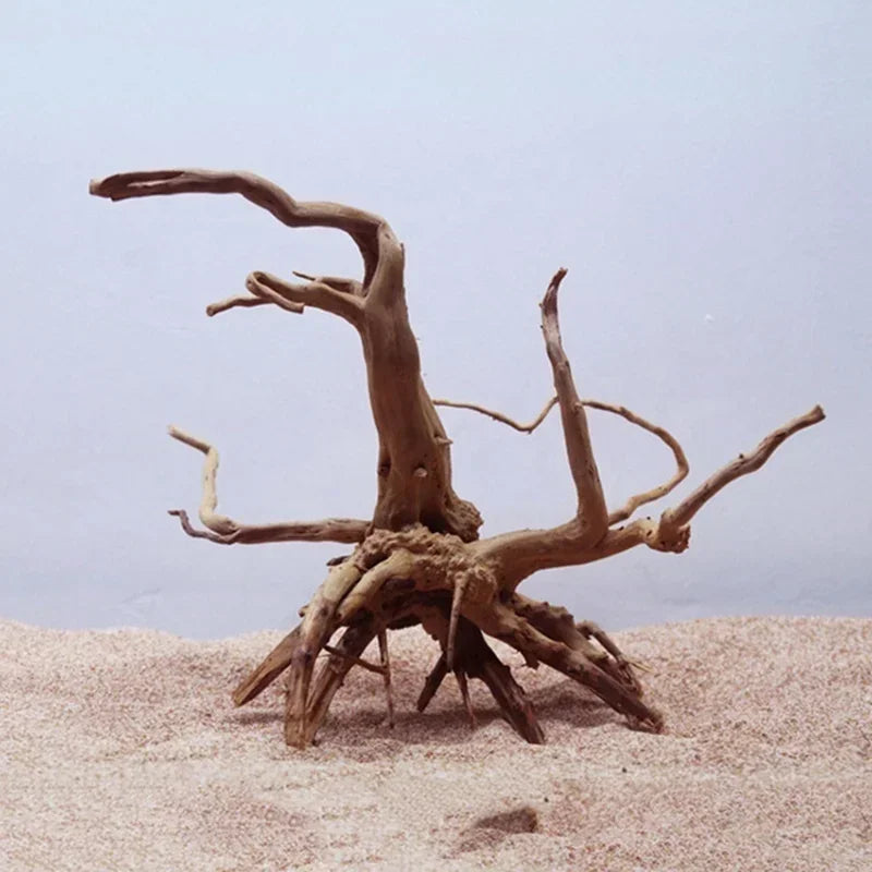 Driftwood on a sandy surface with a plain background