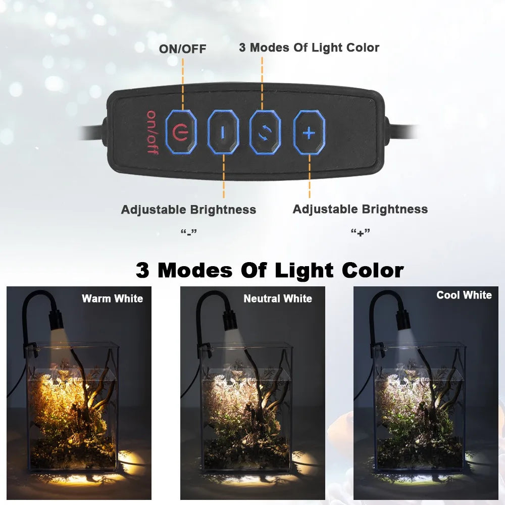Control panel with light color modes and brightness adjustment for a decorative light setup.