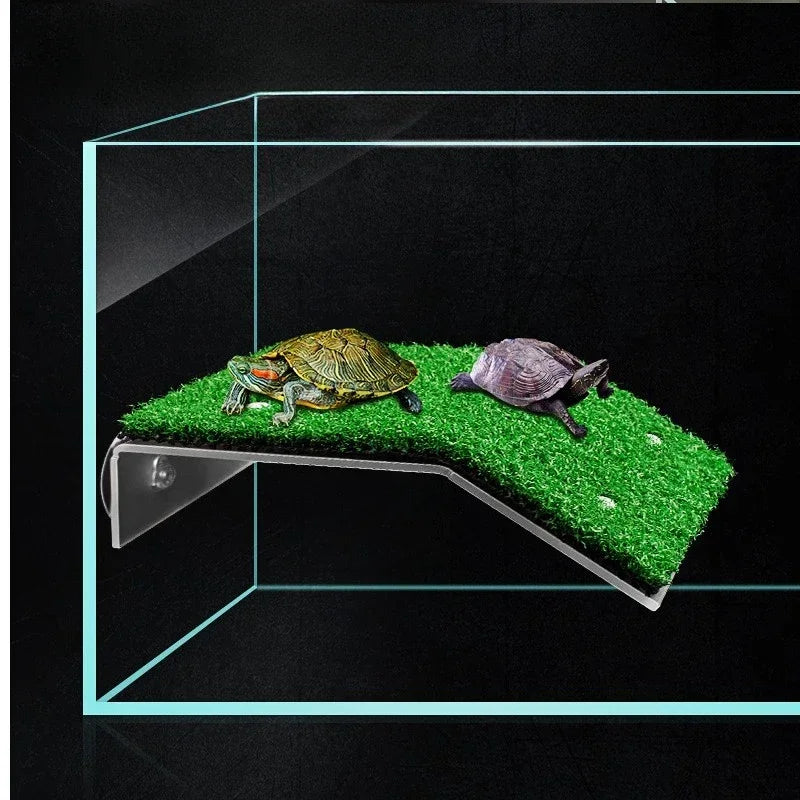 A curved acrylic turtle platform with artificial green grass, shown inside a clear glass terrarium on a black background. Two small turtles are resting on the platform.