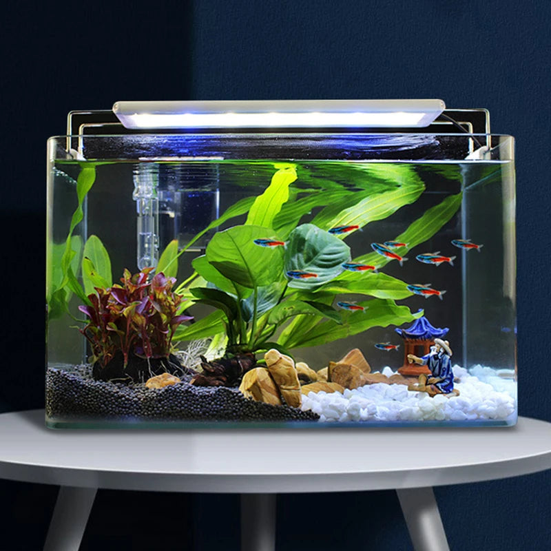 TUNFAN USB Clip-On Aquarium Light | Dimmable LED with Timer for Fish Tanks & Plant Growth