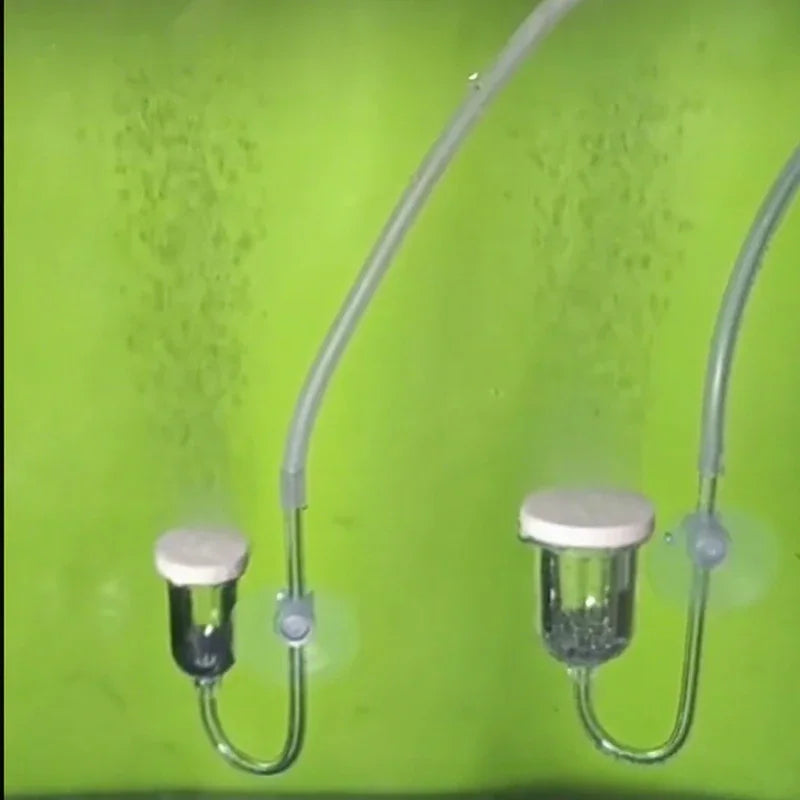 Two clear plastic bottles with white caps on a green background