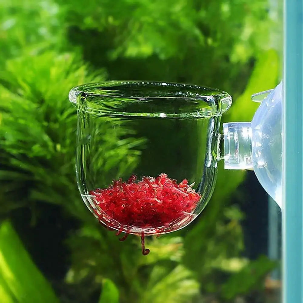 Clear glass container with red substrate hanging in an aquarium with green plants.