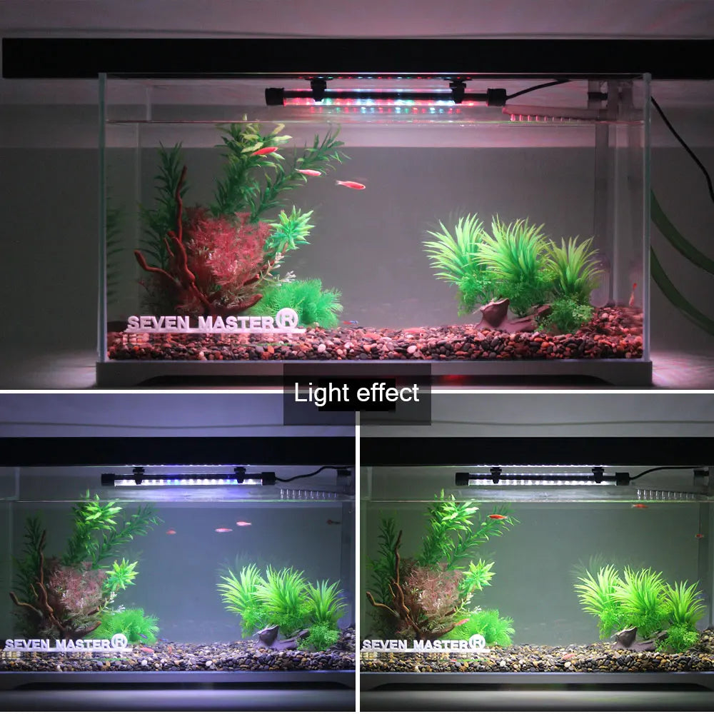 Aquarium with LED lights showing different light effects on plants and water.