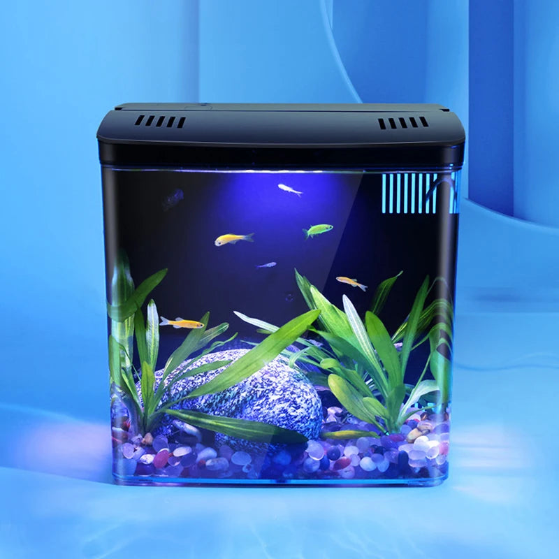 Fish tank with plants and fish on a blue background