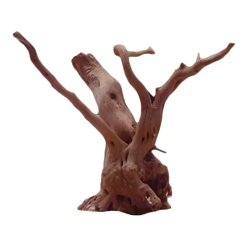 Driftwood piece on a white background