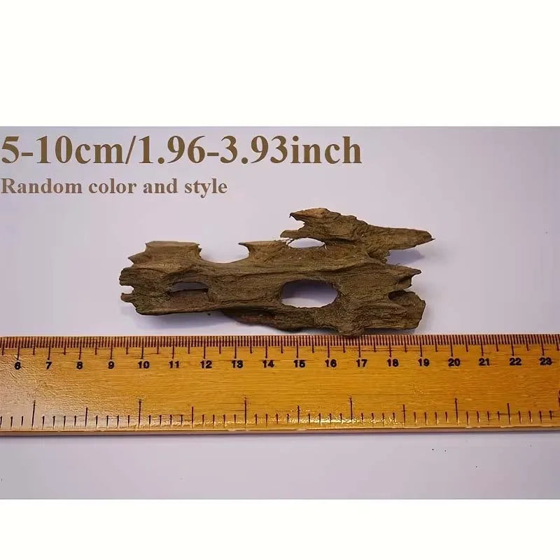 Wooden driftwood piece with a ruler for scale on a white background