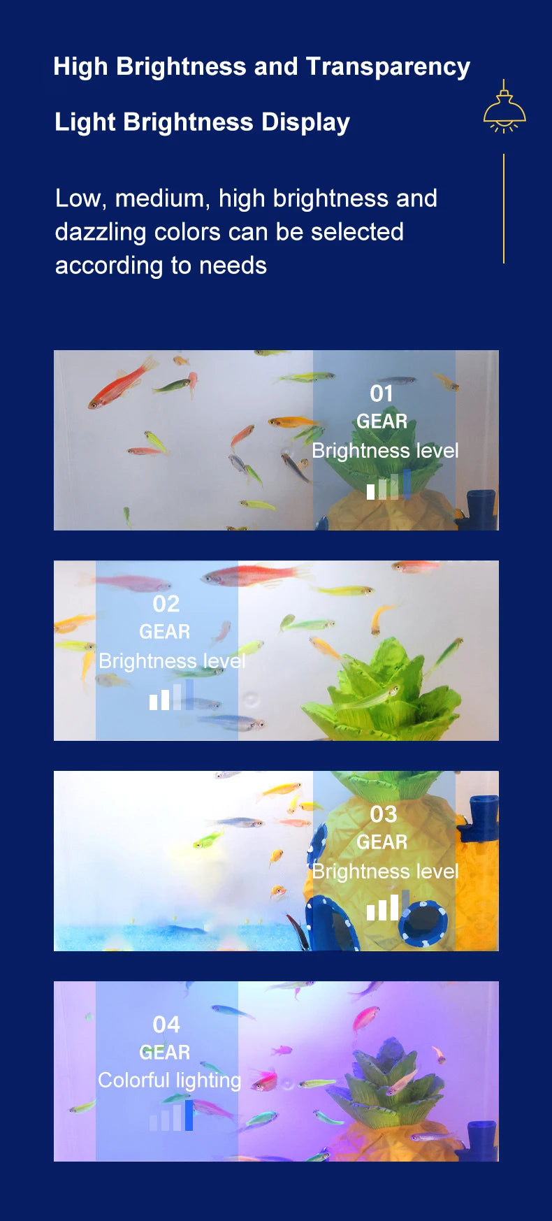 Display of different brightness levels with colorful backgrounds and text on a blue background.