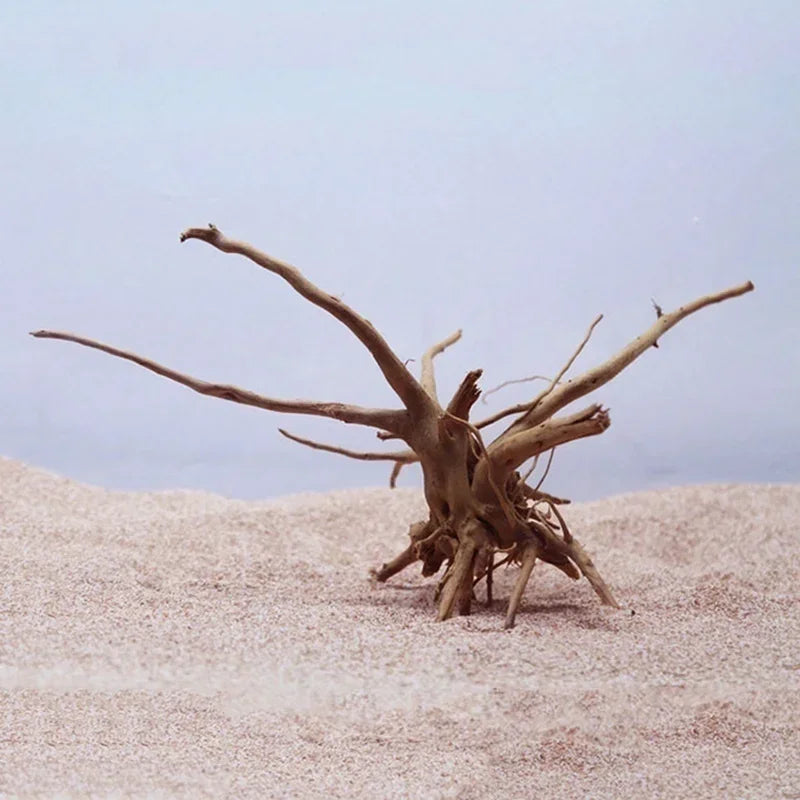 Driftwood on a sandy surface with a clear sky background